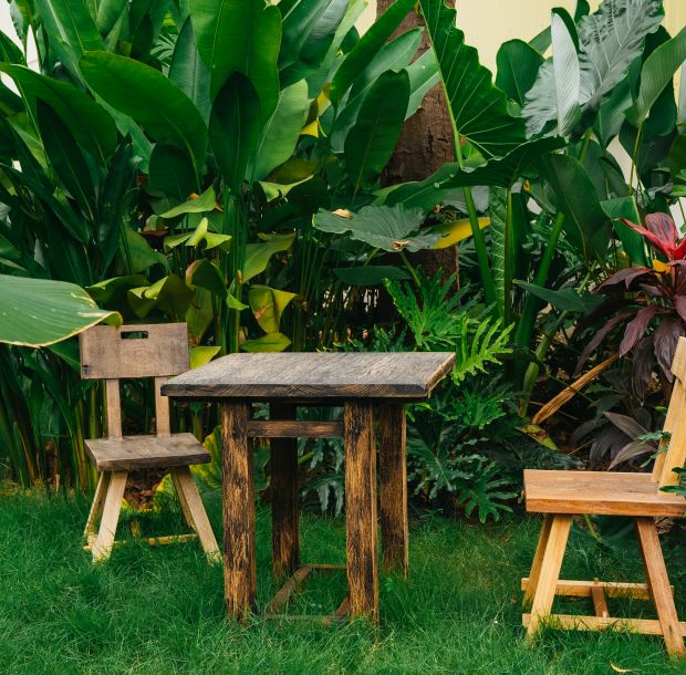 Suite Garden